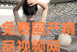 国产精品视频在线播放,在线播放一网打尽