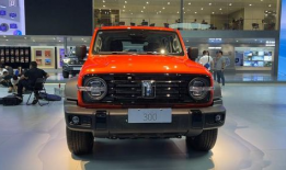 国产精品300,匠心独运，品质卓越的国产佳作盘点